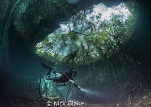 A diver explores Ponderosa Cenote, Mexico.
 by Nick Blake 